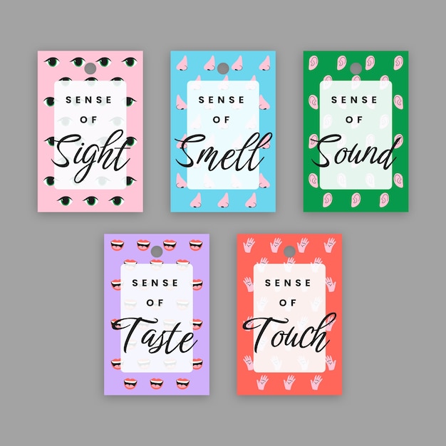 Free Vector 5 senses gift tag template design