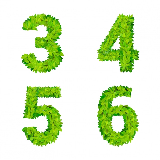 Free vector abc grass leaves letter number elements modern nature placard lettering leafy foliar deciduous   set. 3 4 5 6 leaf leafed foliated natural letters latin english alphabet font collection.