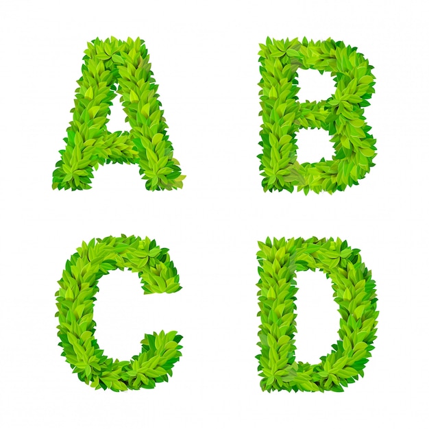 Free vector abc grass leaves letter number elements modern nature placard lettering leafy foliar deciduous   set. a b c d leaf leafed foliated natural letters latin english alphabet font collection.