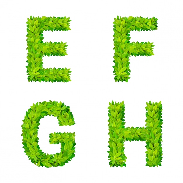 Free vector abc grass leaves letter number elements modern nature placard lettering leafy foliar deciduous   set. e f g h leaf leafed foliated natural letters latin english alphabet font collection.