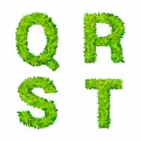 Free vector abc grass leaves letter number elements modern nature placard lettering leafy foliar deciduous   set. q r s t leaf leafed foliated natural letters latin english alphabet font collection.