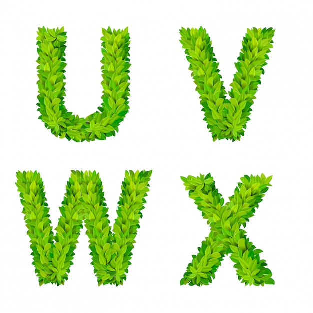 Free vector abc grass leaves letter number elements modern nature placard lettering leafy foliar deciduous   set. u v w x leaf leafed foliated natural letters latin english alphabet font collection.