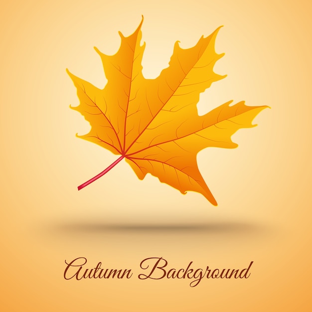 Free vector abstract background with autumn leaf