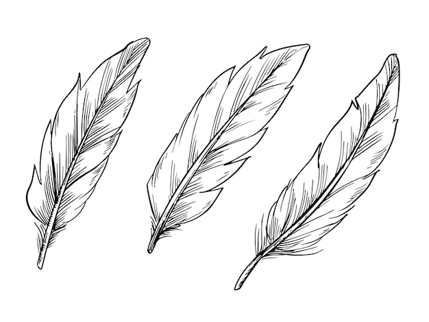 Free Vector abstract ethnic line art feather design set