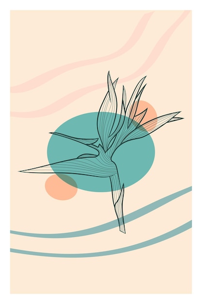 Free vector abstract line art of tropical flower with color splats strelitzia contour drawing minimal flower illustration