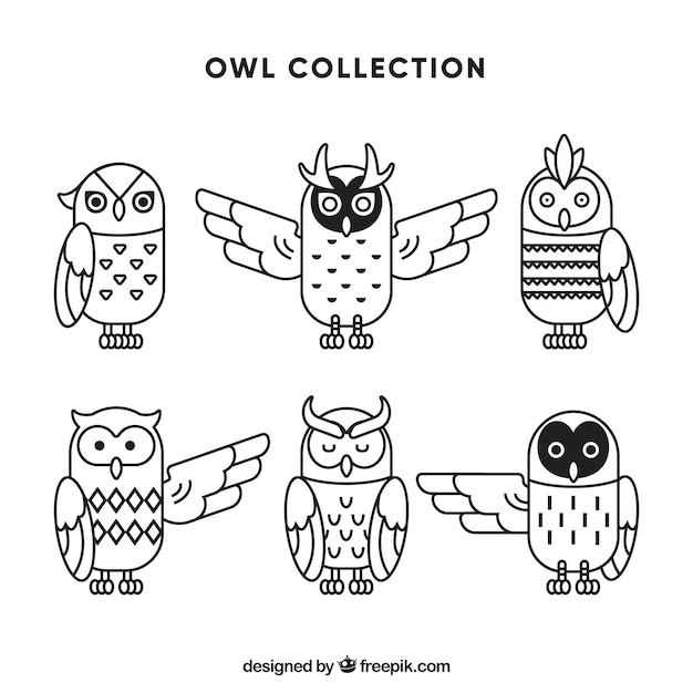 Free Vector abstract outline owl set