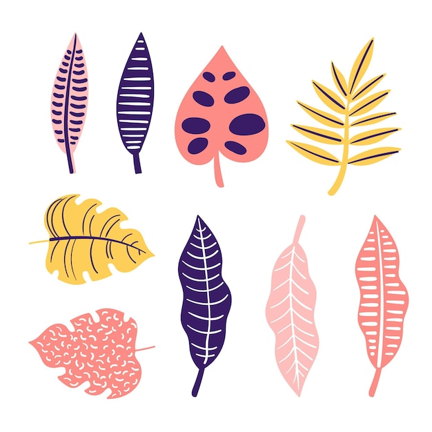 Free Vector abstract tropical leaves collection