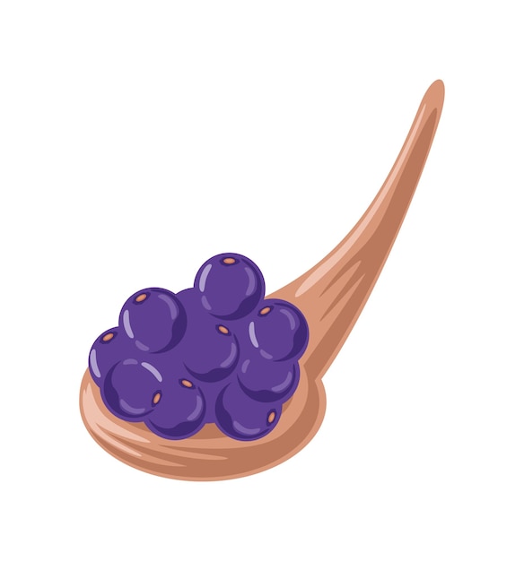 Free Vector acai in spoon