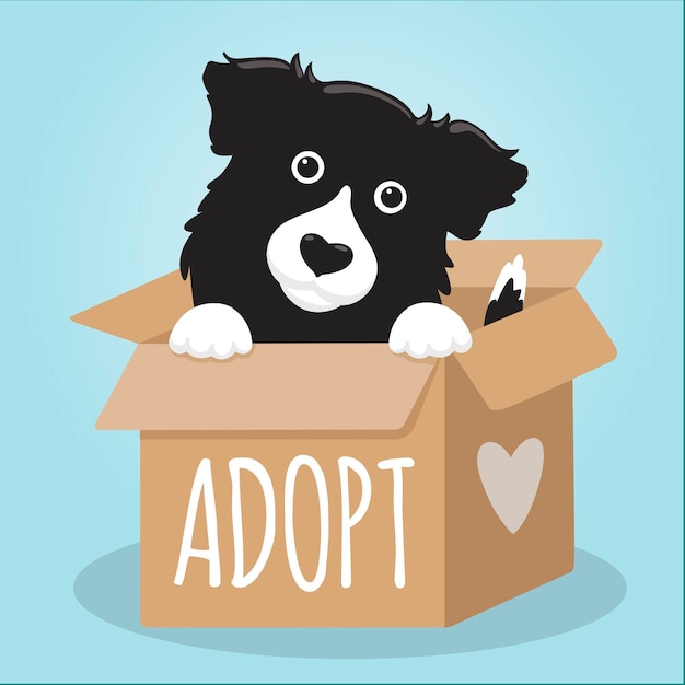 Free Vector adopt a pet concept