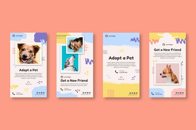 Adopt a pet instagram stories collection