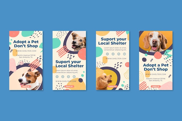 Adopt a pet instagram stories