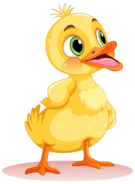 Free Vector adorable little duck isolated