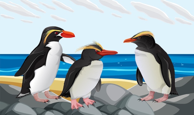 Free Vector adorable penguin standing on the beach