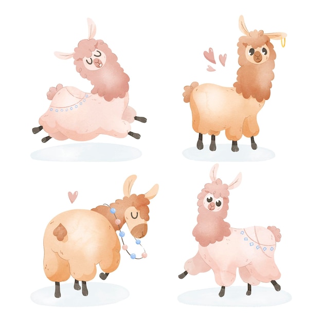 Adorable wild llama illustration