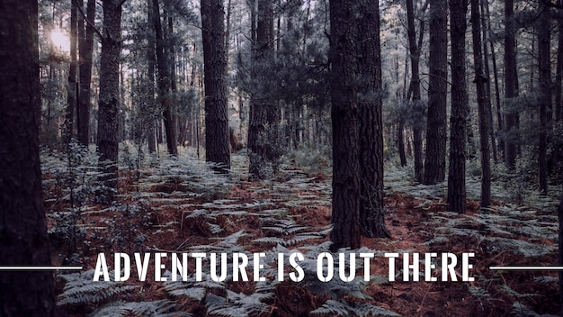 Adventure quote with photo