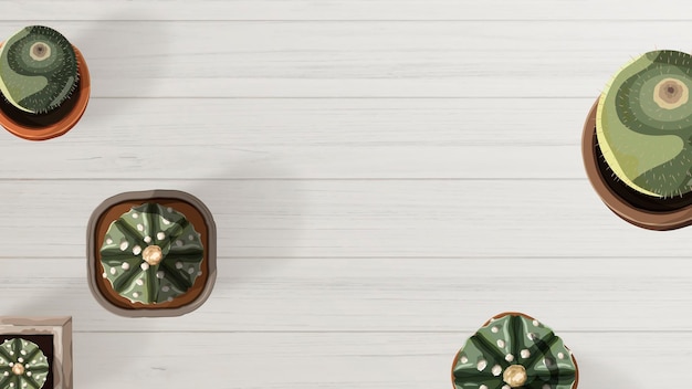 Aerial view of cactus on a white table wallpaper