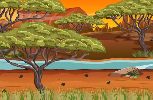 African forest landscape background