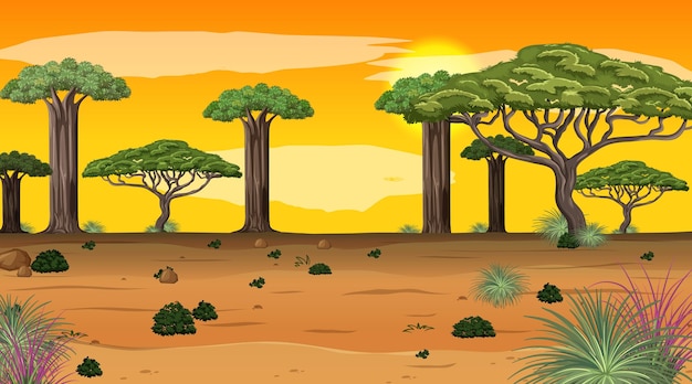 Free Vector african forest landscape at sunset scene with many big trees