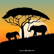 Elephant silhouettes