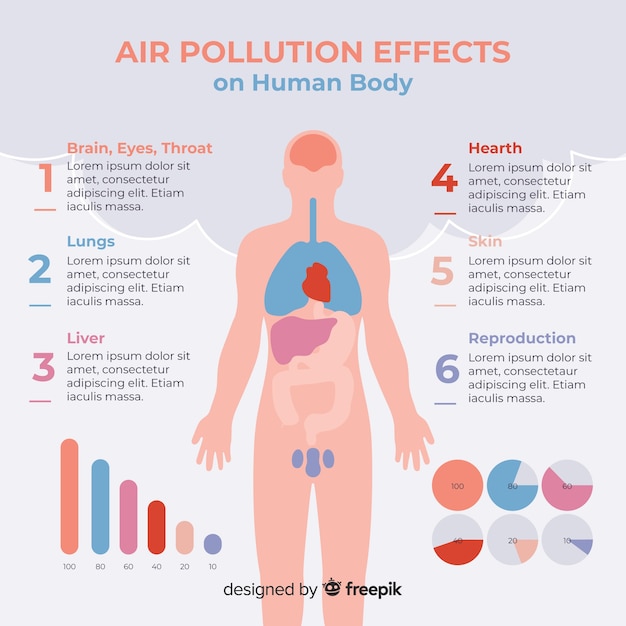 Air pollution effects on human body infographic