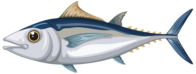 Free Vector albacore tuna on white background