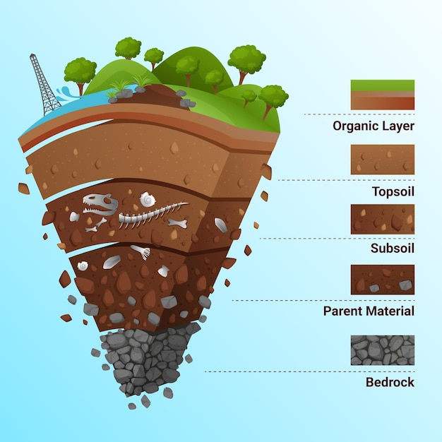 All earth layers illustration