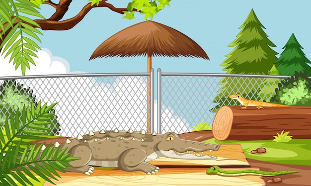 Free Vector alligator in the zoo scene