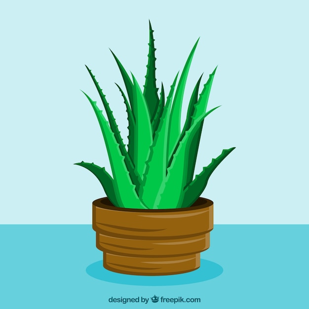 Free Vector aloe vera potting pot background