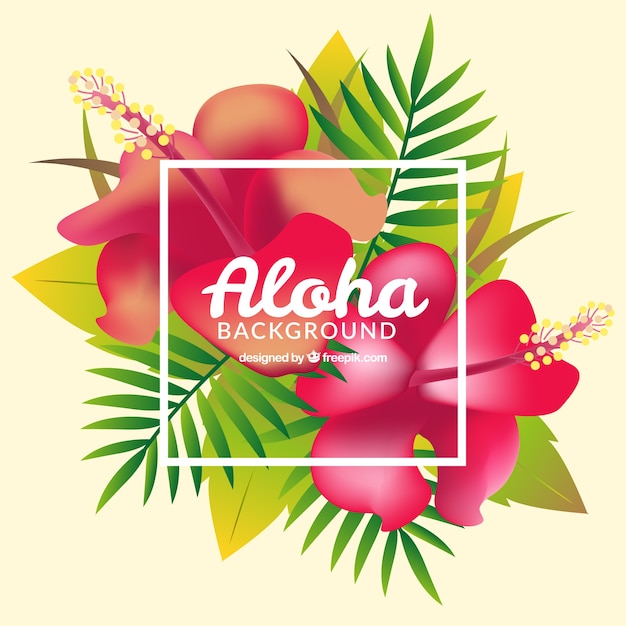 Aloha background with pink flowers