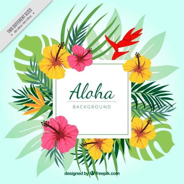 Aloha floral background