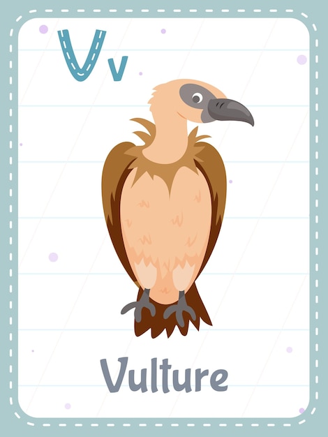 Free Vector alphabet printable flashcard with letter v and vulture bird