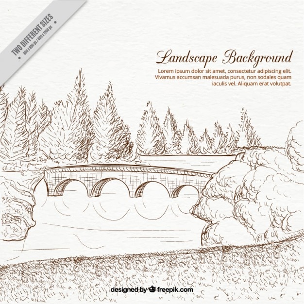 Free Vector amazing hand drawn landscape