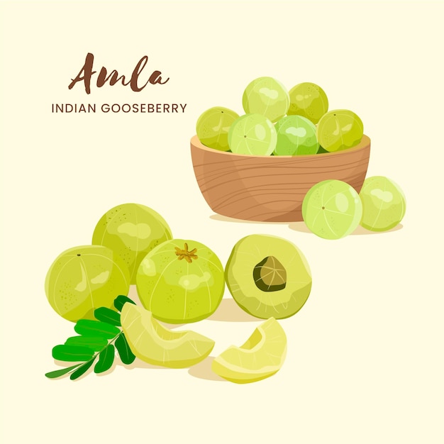 Amla fruit elements set