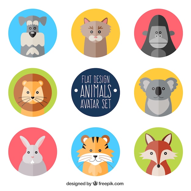 Animal avatars in flat design