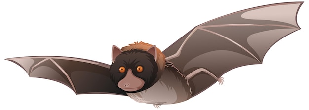 Animal cartoon character of a Bat on white background