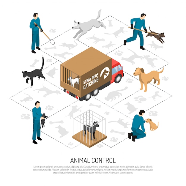 Free Vector animal control service isometric