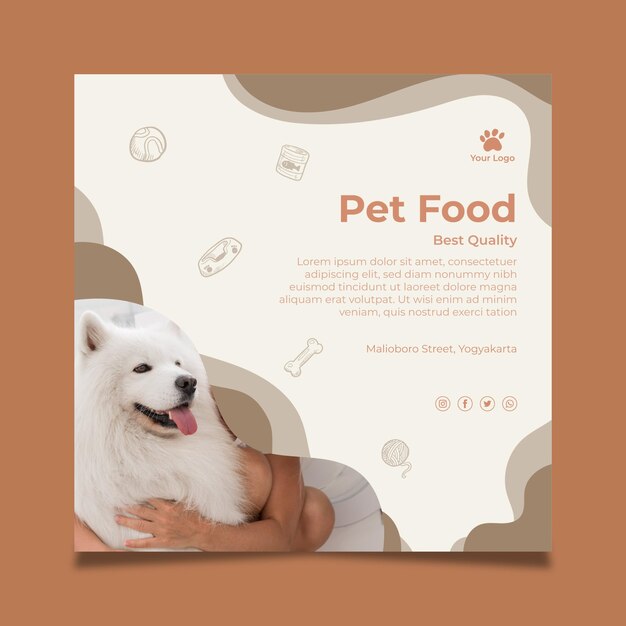 Animal food squared flyer