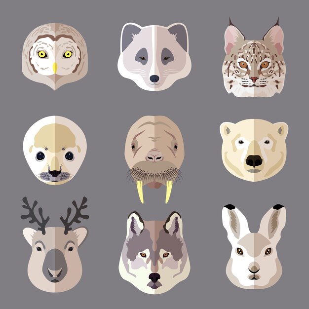 Animal heads set. Wolf, polar bear, deer, rabbit, owl, wild cat, seal