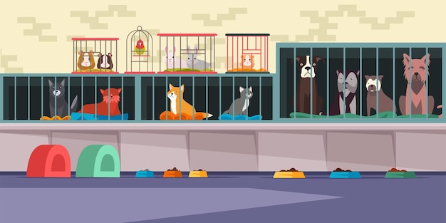 Free Vector animal shelter pet shop inerior