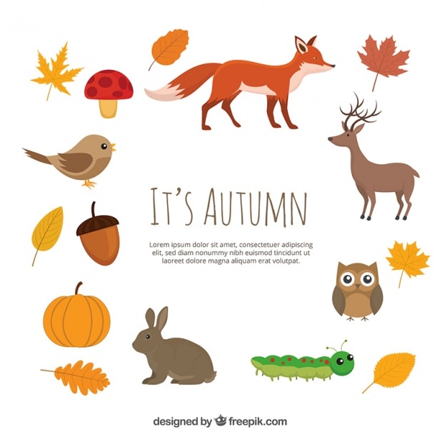 Animals and autumnal natural elements 