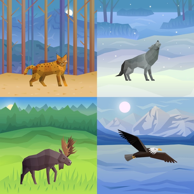 Free Vector animals background set