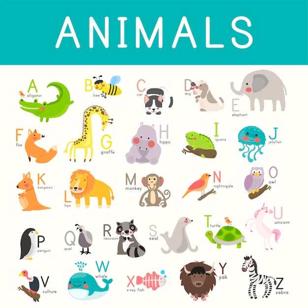 animals