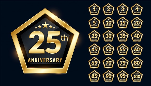 Anniversary labels set in premium emblem style design