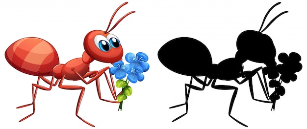 Free vector ant holding flower set