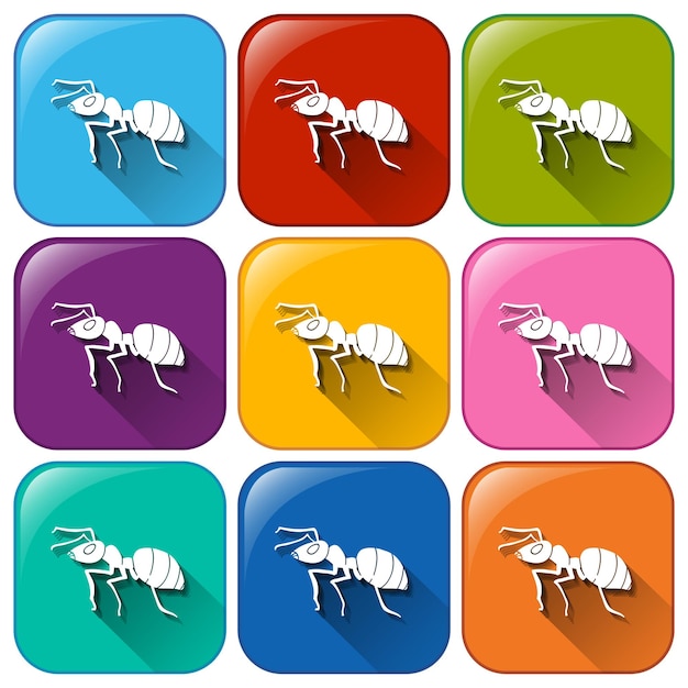 Free Vector ant icons