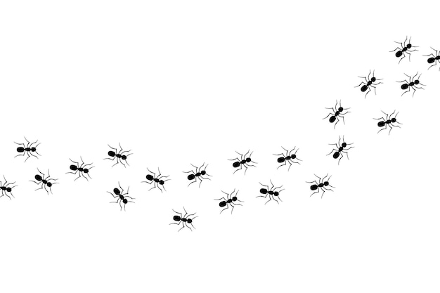 Free vector ants marching across screen