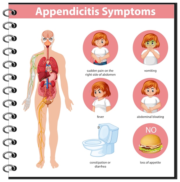 Free Vector appendicitis symptoms information infographic