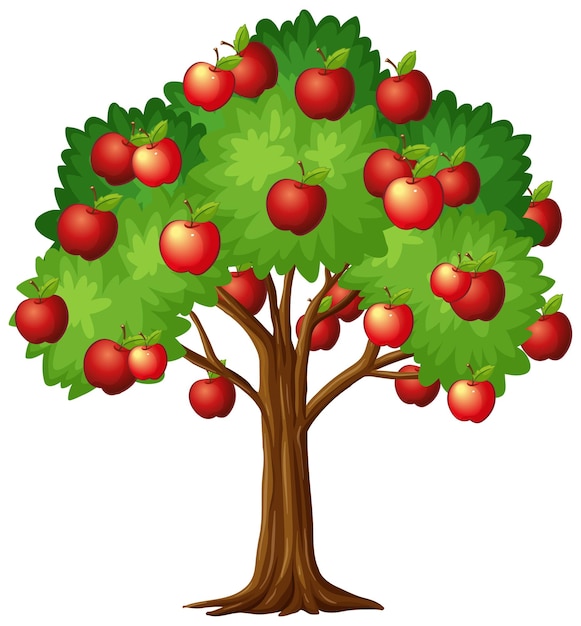 Apple tree isolated on white