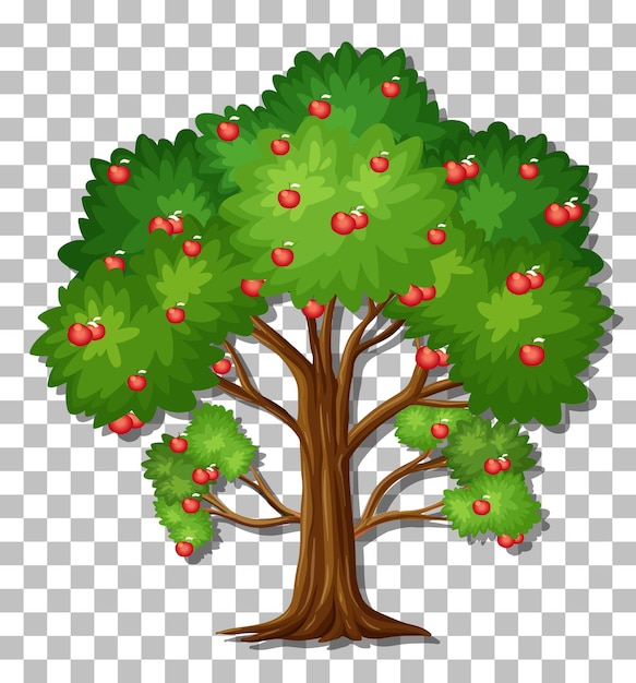 Apple tree on transparent background