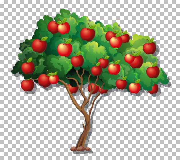 Apple tree on transparent background